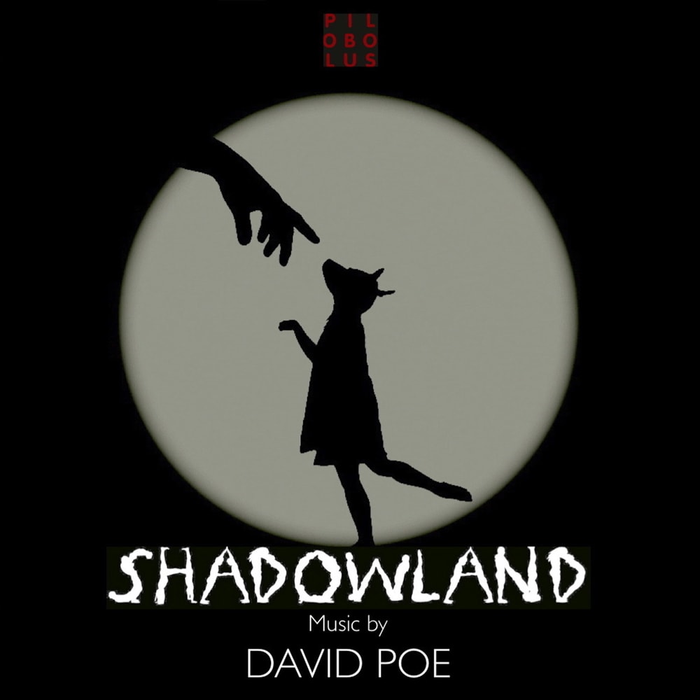 David Poe - Shadowland Music for Pilobolus - ECR Music Group - NYC